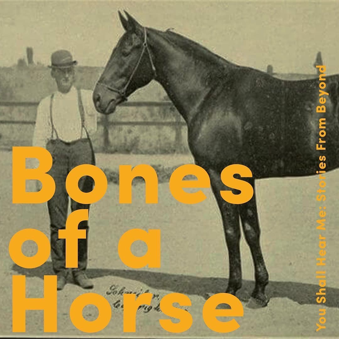 Bones of a Horse